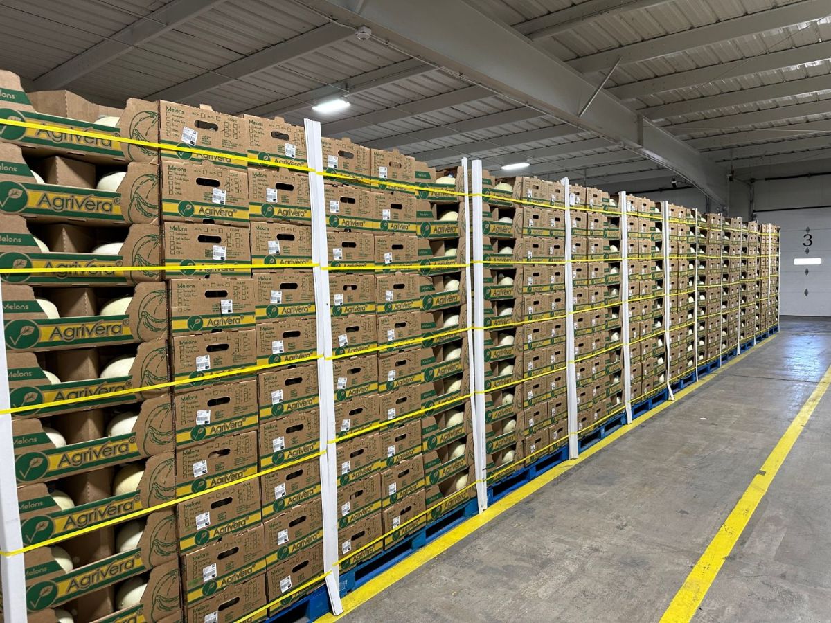 Tarimas de cajas de melón Agrivera flejadas y apiladas a la altura de la cabeza a lo largo de un pasillo de almacén, con los melones verdes visibles a través de las asas