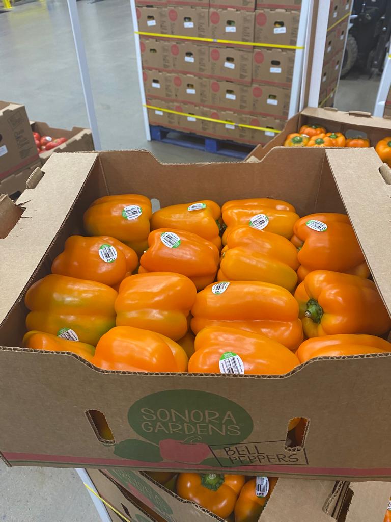 Pimientos morrones naranjas, cada uno con etiqueta, en una caja abierta Sonora Gardens de pimiento morrón sobre el piso del almacén