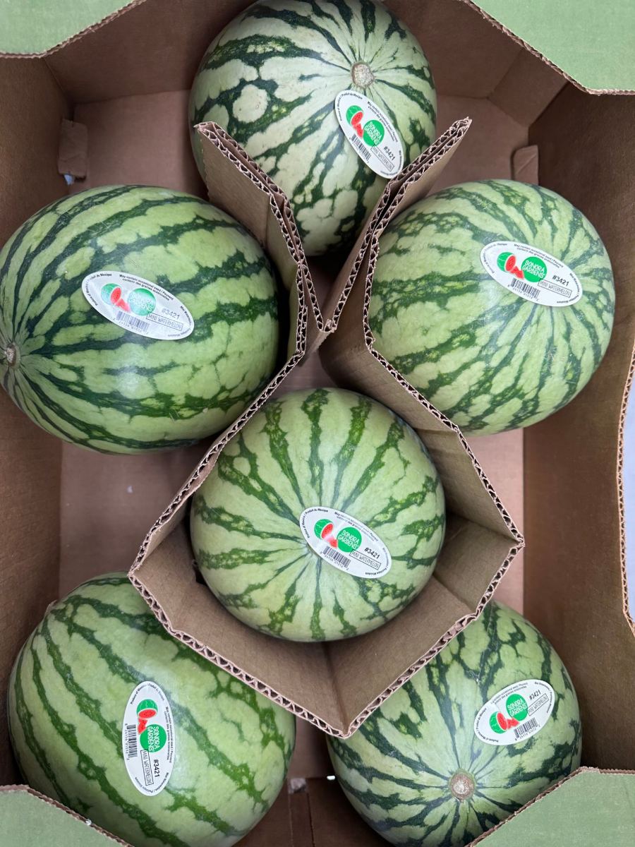 Mini watermelons in a divided carton, each stickered Sonora Gardens on PLU 3421