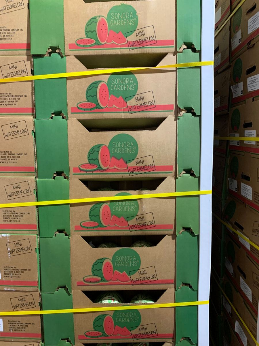 A strapped pallet of printed Sonora Gardens mini watermelon cartons