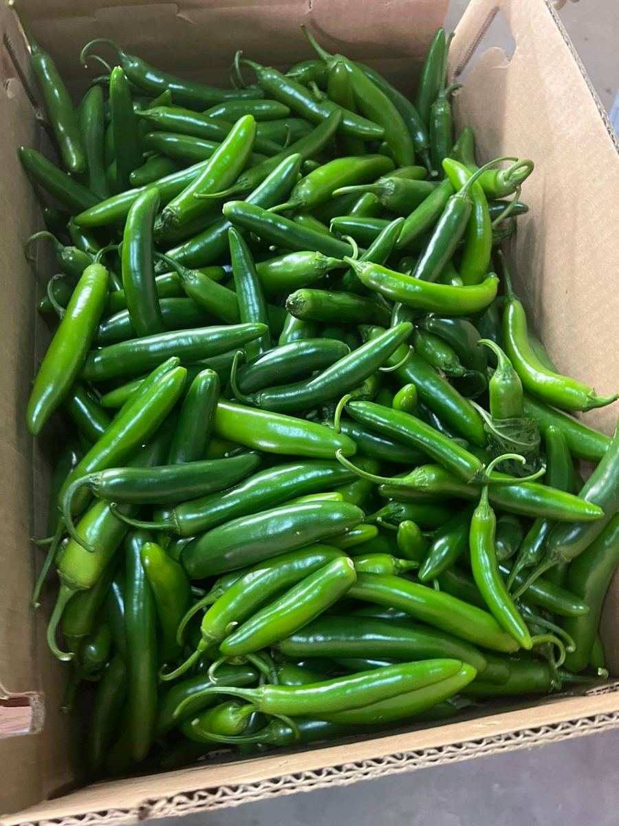 Chiles serranos llenando una caja