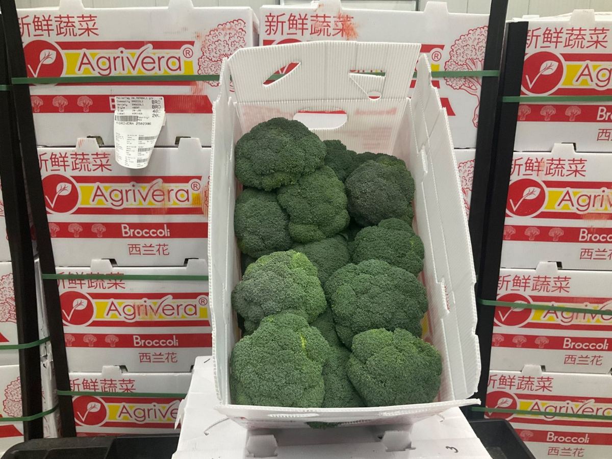 An open Agrivera broccoli carton of crowns among banded cases, the pallet tag showing the commodity, style and weight