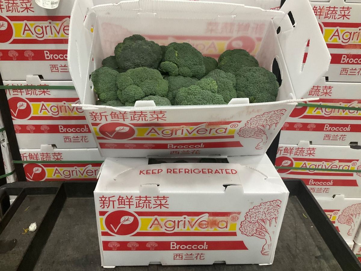 An open Agrivera broccoli carton resting on a closed one marked keep refrigerated, banded cases stacked behind