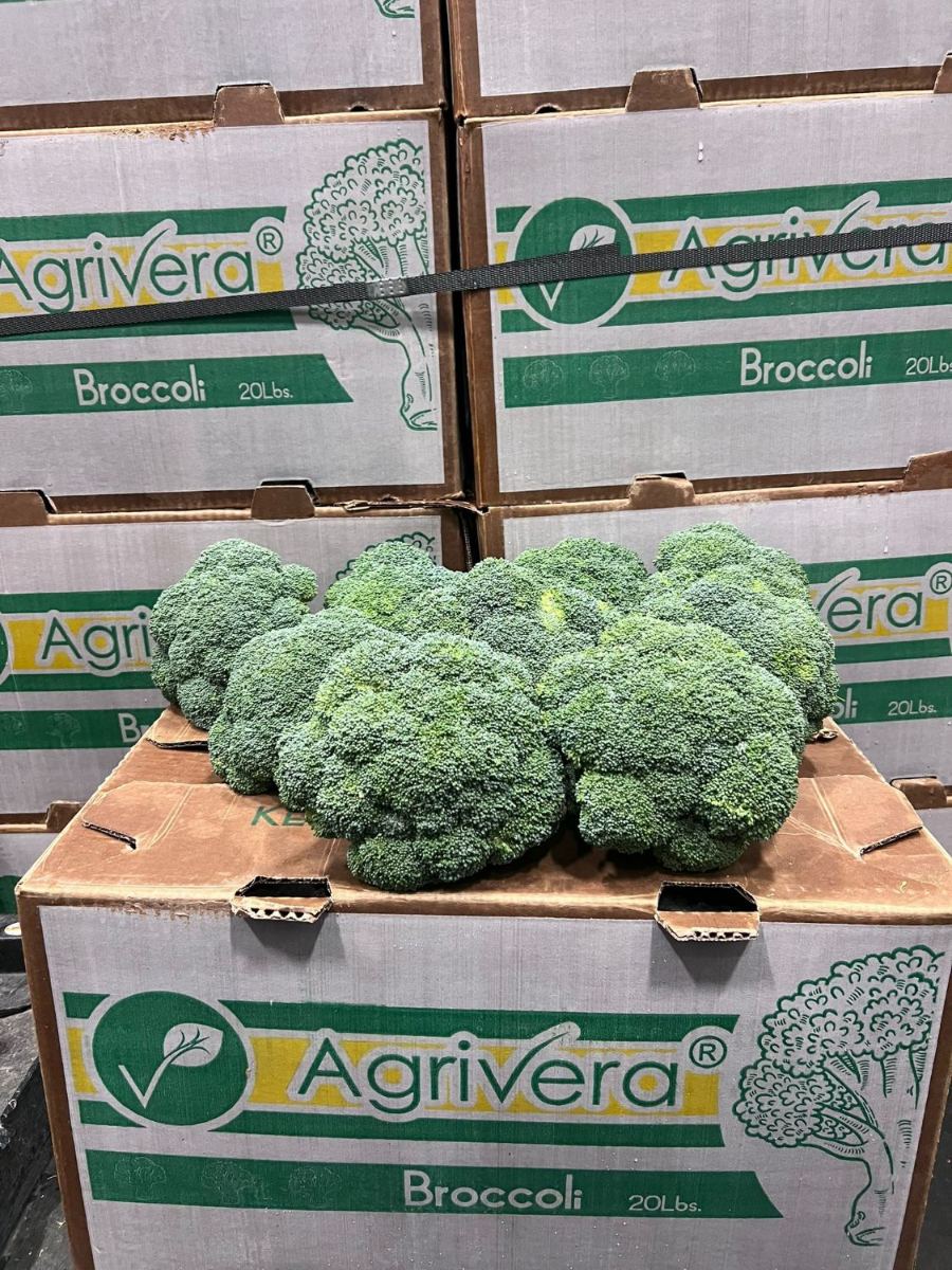 Broccoli crowns laid out on top of a closed Agrivera 20 lb carton, banded cases stacked behind