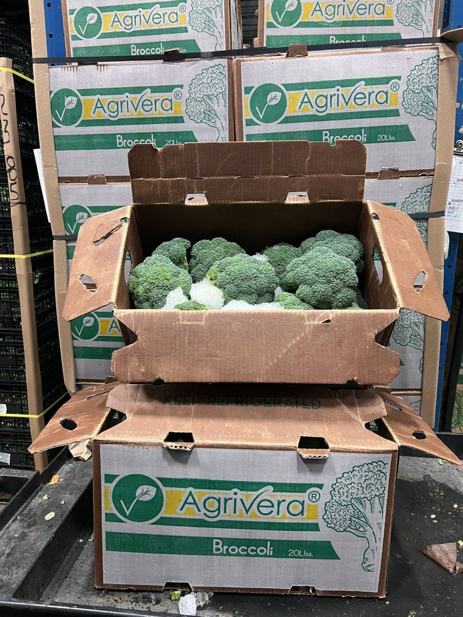 The same ice-packed carton with banded pallets of Agrivera broccoli cases stacked behind it