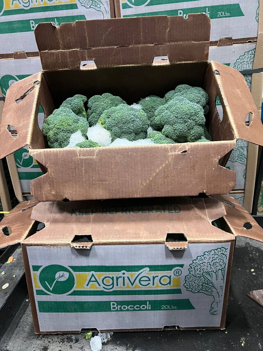 An open Agrivera 20 lb broccoli carton, crowns bedded in slush ice, resting on a closed carton marked keep refrigerated