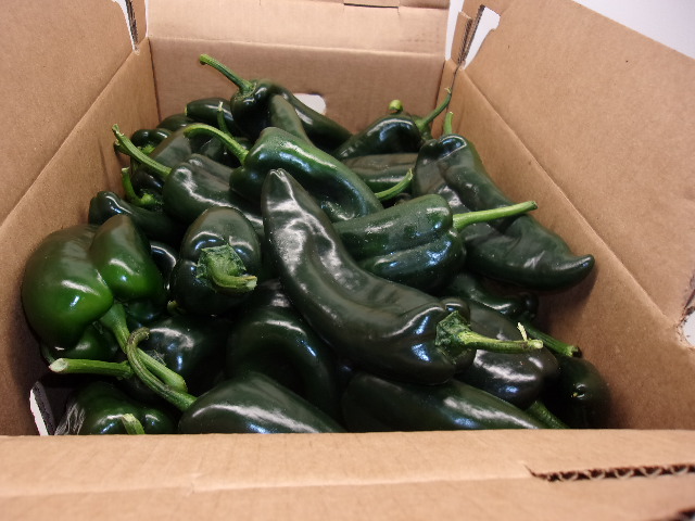Chiles poblanos empacados en una caja