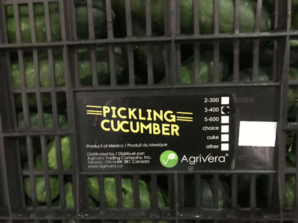 An Agrivera pickling cucumber label on a vented crate, the 3-400 grade ticked, cucumbers visible through the slats
