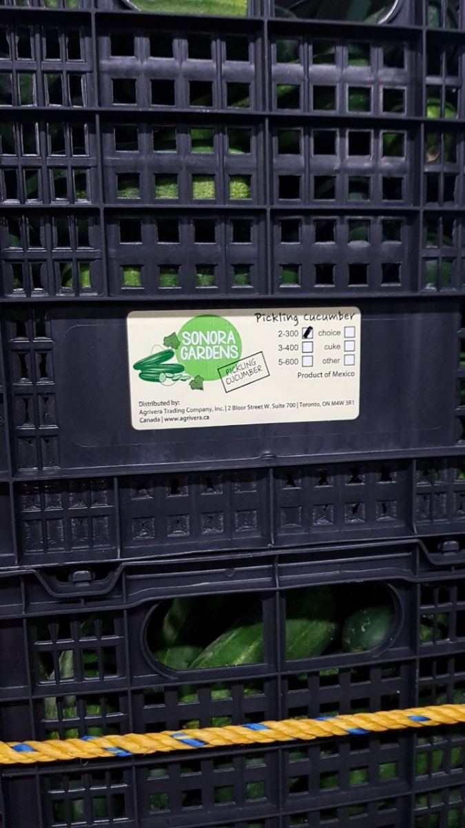 A Sonora Gardens pickling cucumber label on a stacked crate, the 2-300 grade ticked