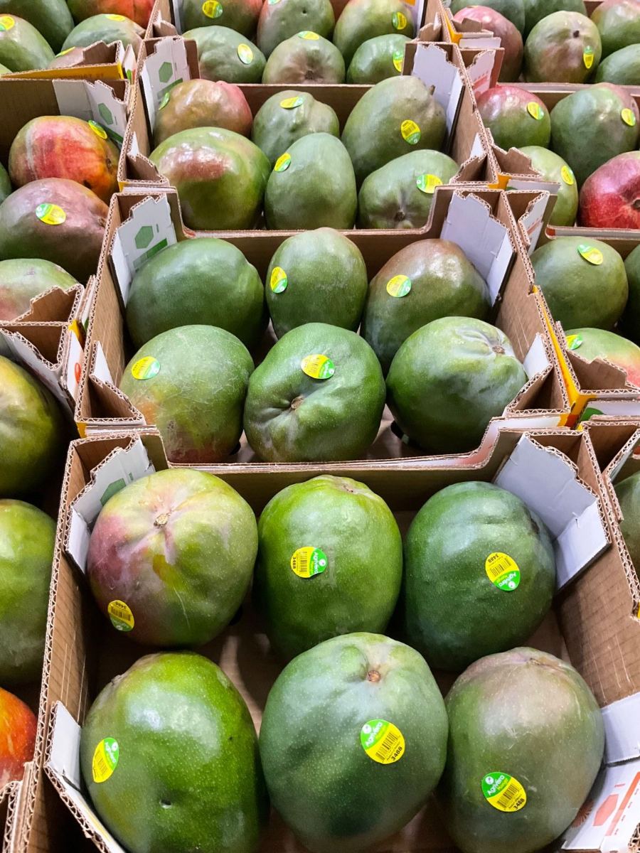 Open mango cases stacked in the warehouse, the Agrivera PLU 3488 stickers legible on the fruit