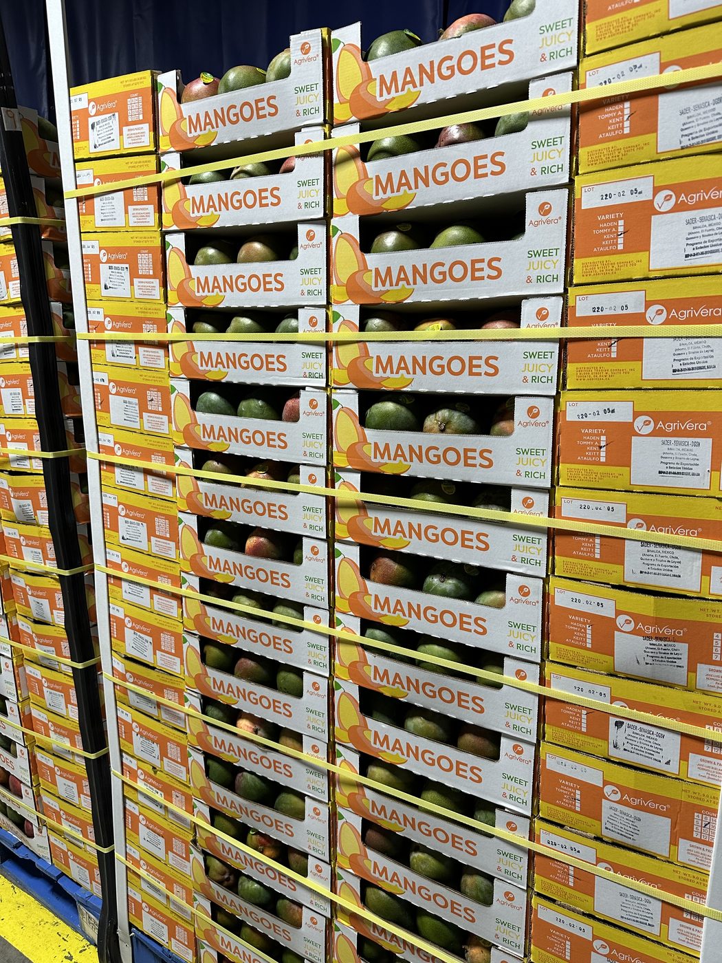 Agrivera mango cases on the pallet, their labels showing the lot number and the variety checklist