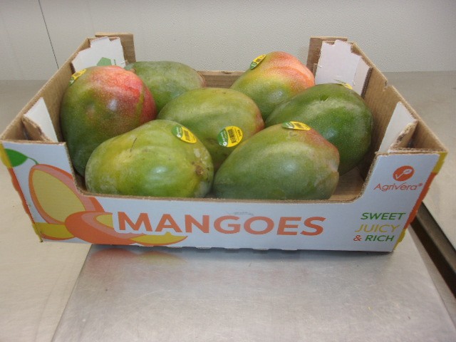 A printed Agrivera MANGOES carton holding a single layer of mangoes, fruit facing up