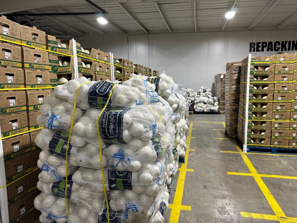 Des palettes de sacs Agrivera d’oignons blancs le long de l’allée de reconditionnement, des caisses Agrivera de melons empilées en face