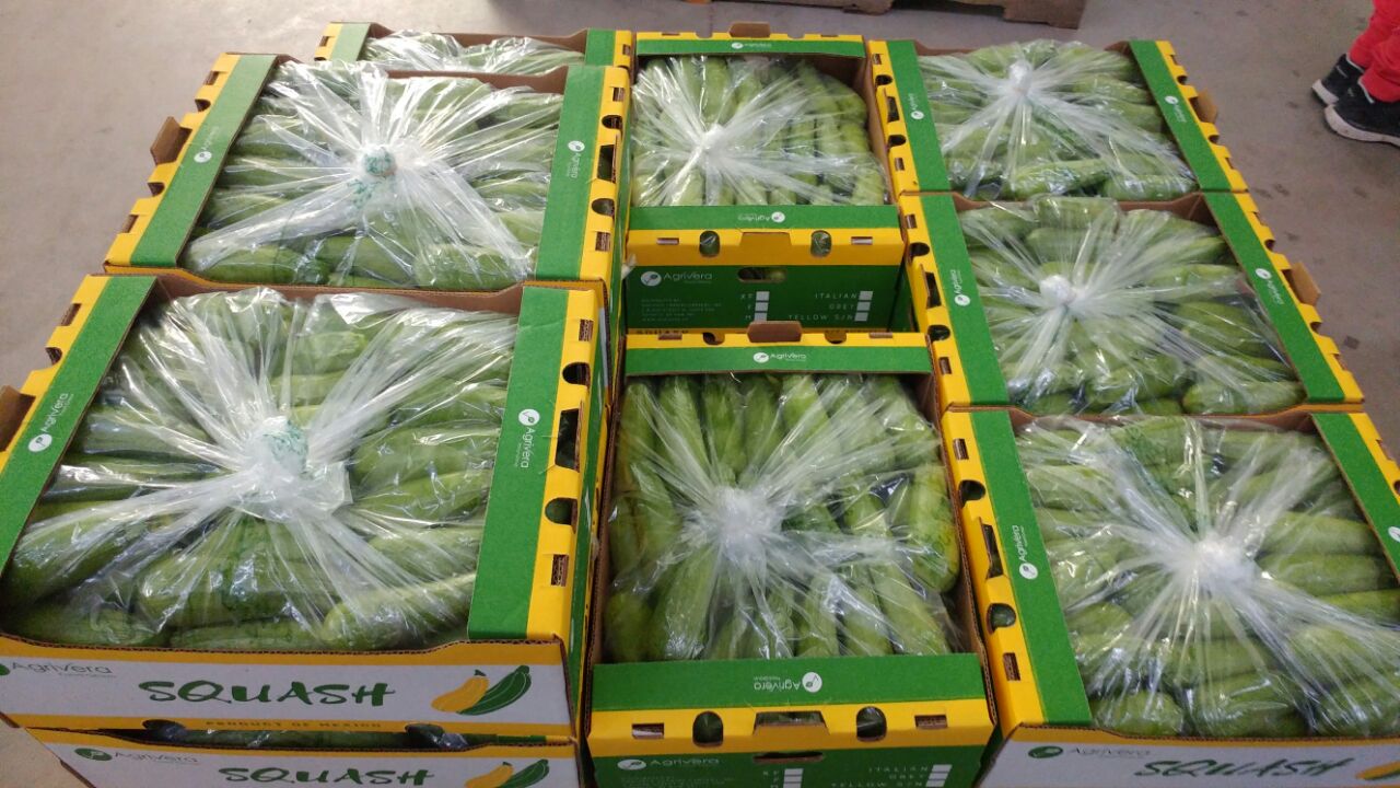 Open Agrivera squash cartons of grey squash across a pallet, each carton bagged in film