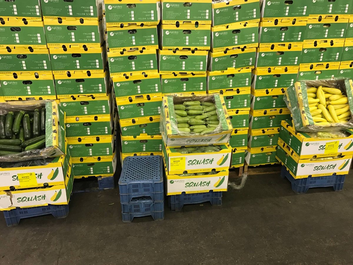 Stacks of Agrivera squash cartons in the cold room, open display cartons of green zucchini, grey squash and yellow squash in front