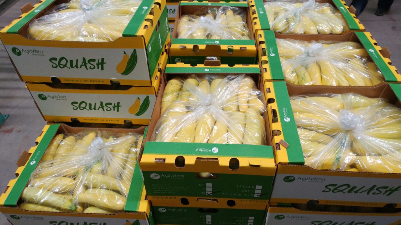 Stacked Agrivera squash cartons of yellow squash, the printed variety checklist legible on the end panel