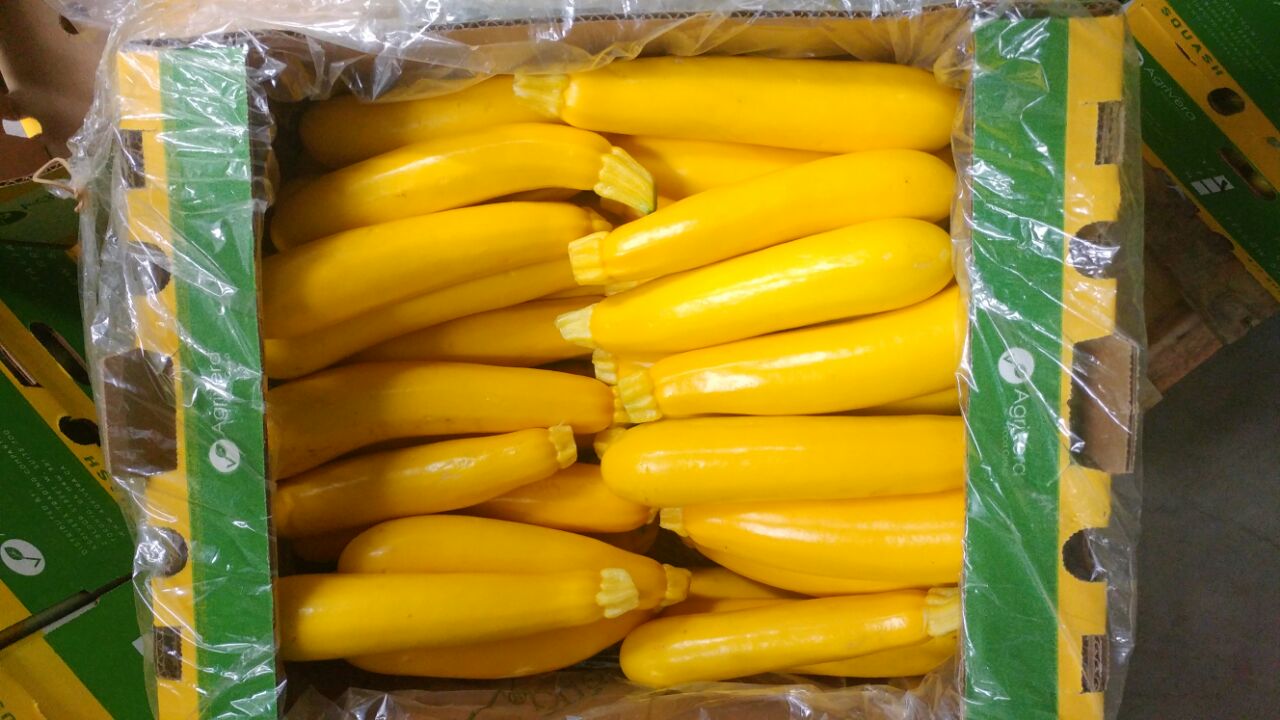 Yellow zucchini packed under film in an Agrivera carton, seen from above